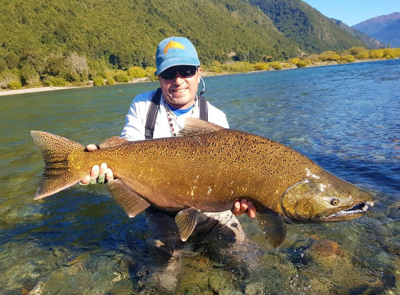 Cabañas Nutrias Patagonicas Puelo River Exterior foto
